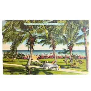 Vintage Linen Postcard Lummus Park Bench Miami Beach Florida Waterfront USA Made